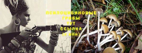прущий лед Краснослободск