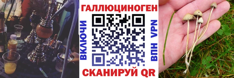 Галлюциногенные грибы прущие грибы  Спасск 