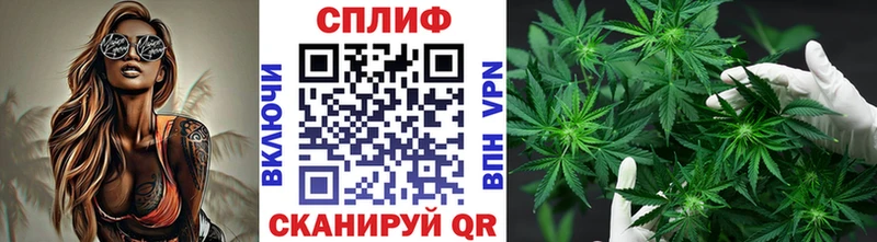 где можно купить   Спасск  МАРИХУАНА тримм 
